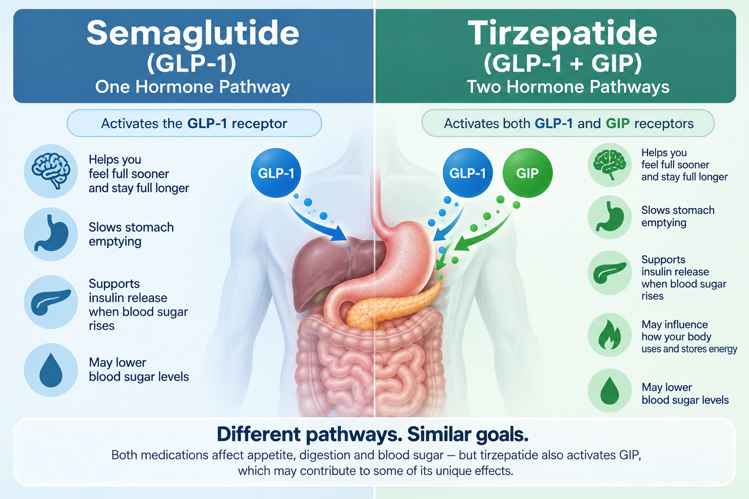 Semaglutide vs tirzepatide GLP-1 and GIP hormone pathway comparison